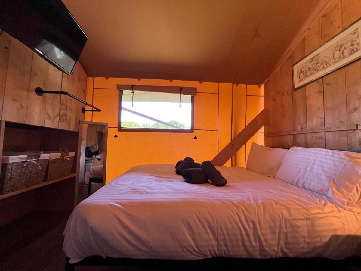 Aladdin Safari Tent 滕比 外观 照片